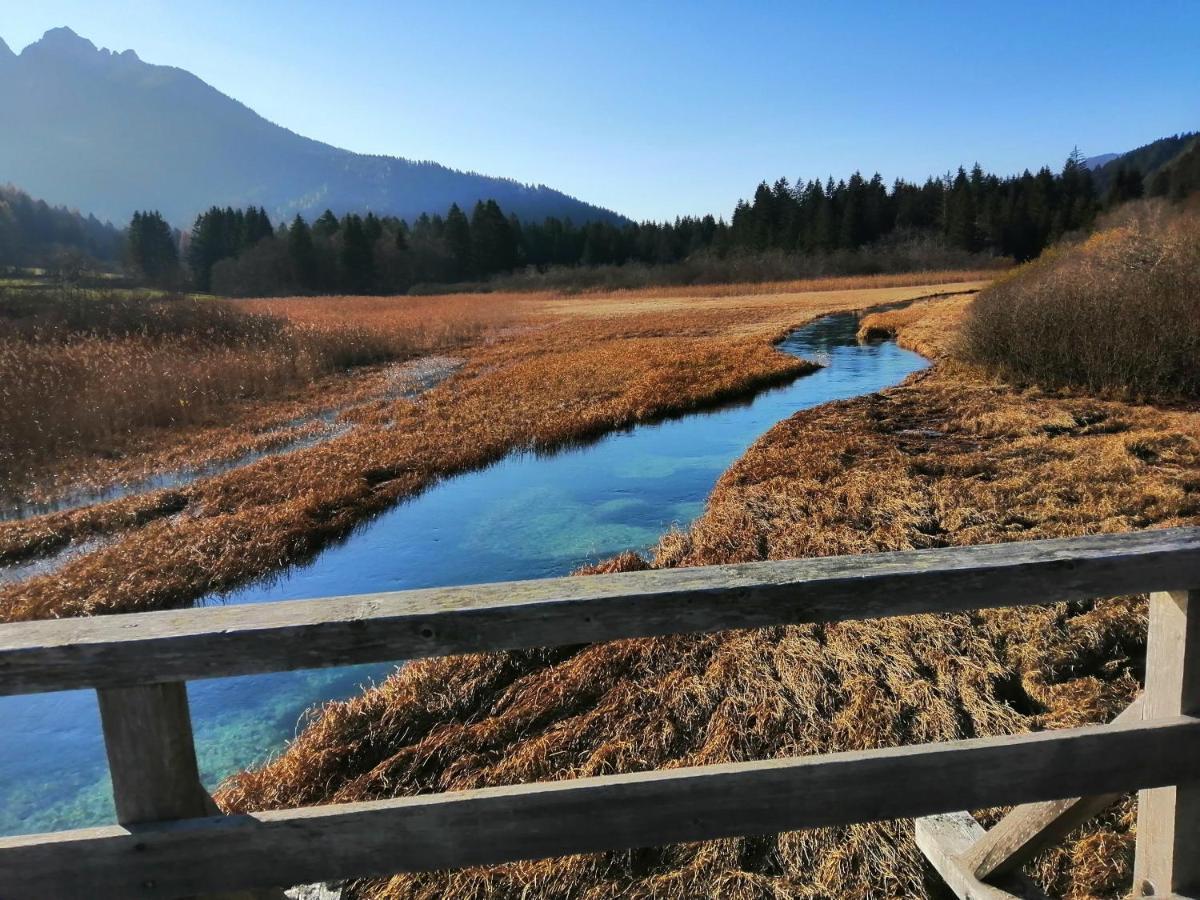 Apartments Podkoren 82 Kranjska Gora Kültér fotó