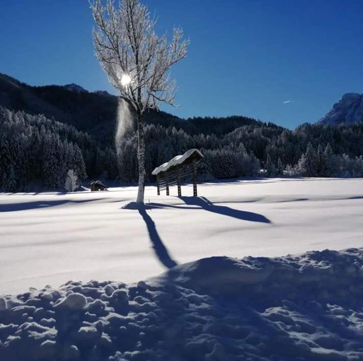 Apartments Podkoren 82 Kranjska Gora Kültér fotó