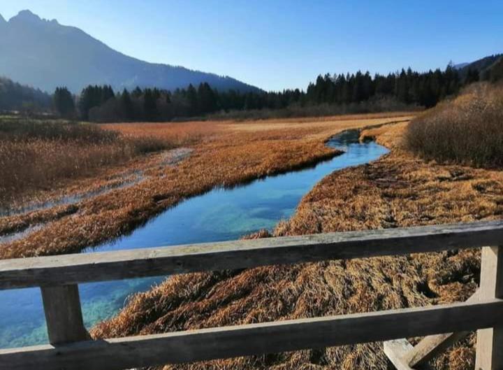 Apartments Podkoren 82 Kranjska Gora Kültér fotó